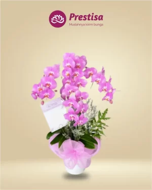 Anggrek Fresh - Jakarta Utara - New - 004