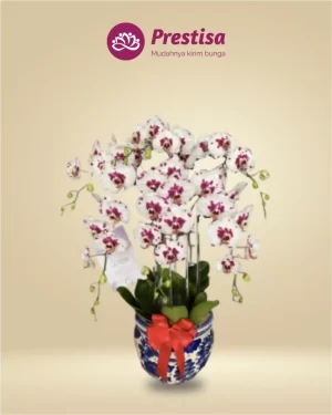 Anggrek Fresh - Jakarta Utara - New - 007