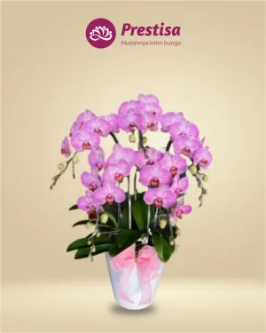 Anggrek Fresh - Jakarta Utara - New - 005