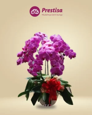 Anggrek Fresh - Depok - New - 004