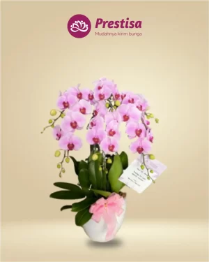 Anggrek Fresh - Jakarta Utara - New - 008