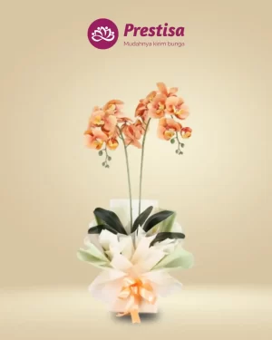 Anggrek Artificial - Jakarta Selatan - New - 005