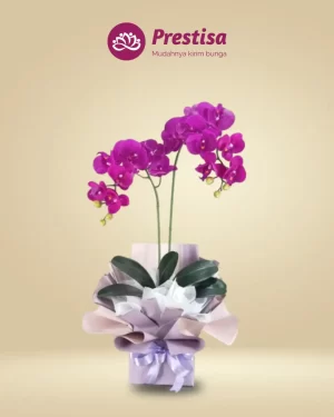 Anggrek Artificial - Jakarta Selatan - New - 004