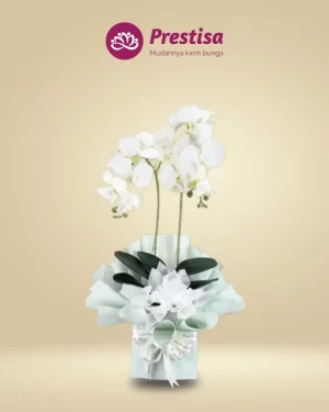 Anggrek Artificial - Jakarta Selatan - New - 002