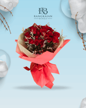 Enchanted Aurora - 001