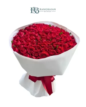 Scarlet Luxe Collection