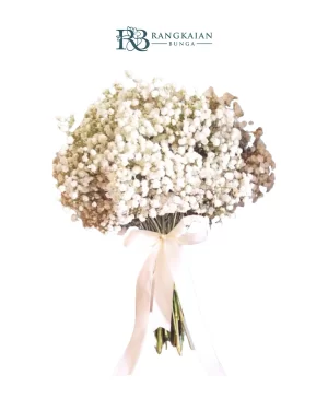 Whispering Ivory Elegance