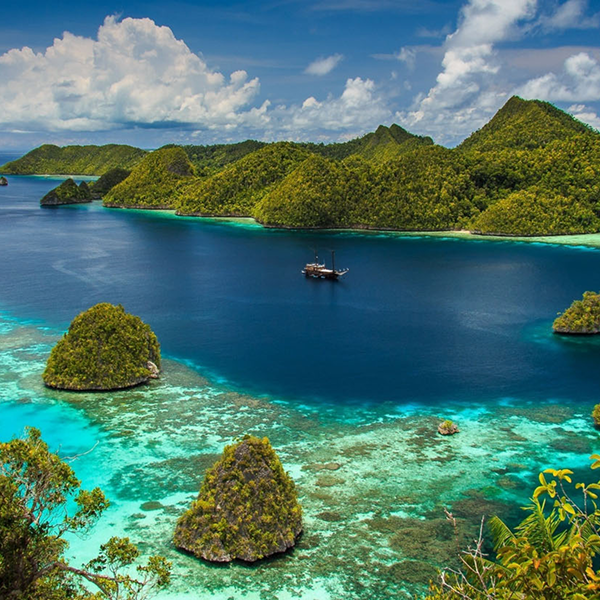 Pulau Papua