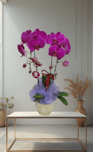 Bunga Meja Anggrek GREK-99