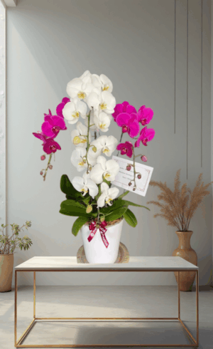 Bunga Meja Indonesia - Anggrek - 004