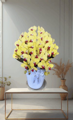 Bunga Meja Indonesia - Anggrek - 005