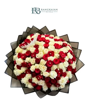 Crimson Snow Harmony