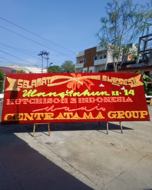 Bunga Papan Congratulations - Batam 13
